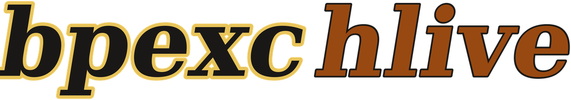 bpexchlive logo